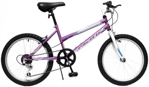 Childrens Toyshop  Toys : Pacific Chromium Girl's 20-Inch Mountain Bike