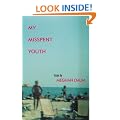 My Misspent Youth: Essays