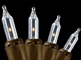 Set of 100 Clear Everglow Mini Christmas Lights With Brown Wire