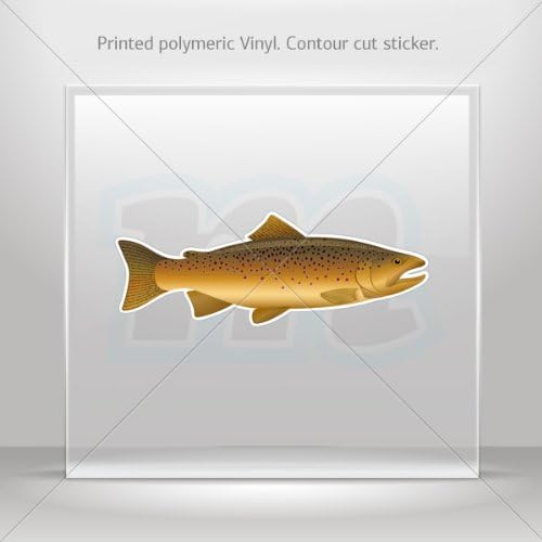 Sticker Decal Brown Trout car helmet window Boat jet-ski Garage door 6 X 2.2 Inches Vinyl color print 0600 XRKRW