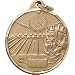 Sporting Goods : 1 1/4 Inch Gold Swimming Medal