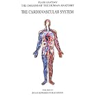 The Cardiovascular System (Organs of the Human Anatomy) (Systems of Human Anatomy) by Thomas Braem