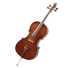 Cecilio CCO-500 Handmade German Type Ebony Fitted All Solid Wood Size 4/4 Cello Outfit
