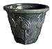 Medium Holland Pot Blossom Grey
