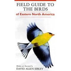 Field Guide To The Birds Of Eastern North America