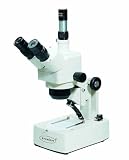 Scientific Inc