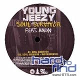 Soul Survivor [12" VINYL]