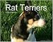 Rat Terriers of Rat-Terrier.com