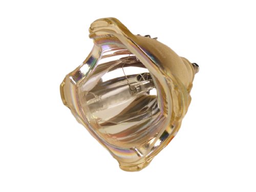 Samsung BP96-01073A Replacement Lamp