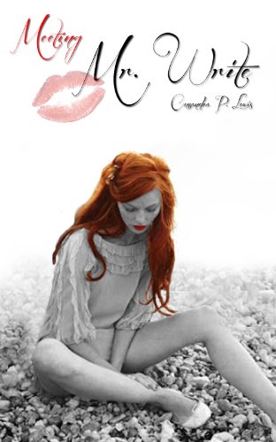 Meeting Mr Write (Mr Write Trilogy) by Cassandra P Lewis