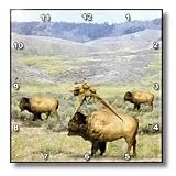 Boehm Digital Paint Animal - Buffalos Running on the Plains - Wall Clocks