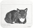 I've Been Waiting Black White Cat Mouse Pad MousePad