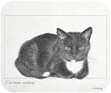 I've Been Waiting Black White Cat Mouse Pad MousePad
