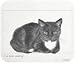 I've Been Waiting Black White Cat Mouse Pad MousePad