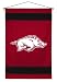 Arkansas Razorbacks Sideline Wall Hanging (29x45) NCAA