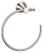 Danze D446427BN South Sea Towel Ring, Brushed Nickel