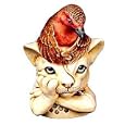 TURDUS FELIDAE (TJBR)