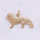 14kt Yellow Gold Lion Charm. 3 - Dimensional - B0002CU556