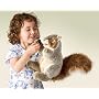 Plush Gray Squirrel Puppet 12"
