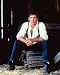 HARRISON FORD 24x36 COLOR POSTER PRINT