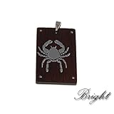 316L Stainless Steel Pendant - Cancer