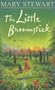Little Broomstick (Modern Classics)