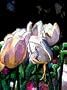 In Watercolour: Flowers (In Watercolour)