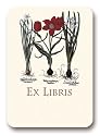 Botanical Tulip Bulbs - Set of 20 Adhesive Bookplates