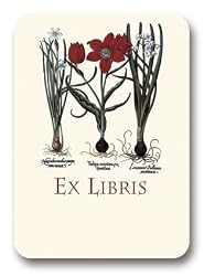 Botanical Tulip Bulbs - Set of 20 Adhesive Bookplates