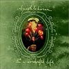 It's a Wonderful Life It's a Wonderful Life