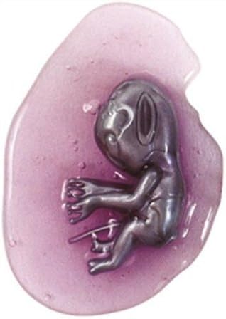 Party Tasche Toys: Baby Alien Eier in Schleim [Spielzeug] [Spielzeug] by UWOODTOYS