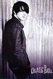 Drake Bell Poster 24x36 Poster Poster Print, 24x36