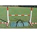 Agility Single Bar Hurdle For Small Dogs/Purple and Green