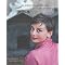 The Best Audrey Hepburn Merchendise