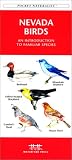 Nevada Birds