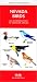 Book Nevada Birds