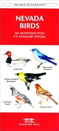Nevada Birds