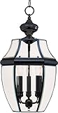 Maxim Lighting 6095CLBK 3 Light Outdoor Pendant, Black [並行輸入品]