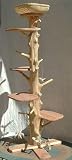 One of a Kind 6 Foot 2 Inch Cedar Cat Tree