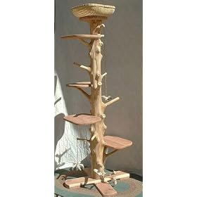 One of a Kind 6 Foot 2 Inch Cedar Cat Tree