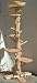One of a Kind 6 Foot 2 Inch Cedar Cat Tree