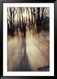 Beautiful Sunlight Streaming Through Mist and Forest Framed Photographic Poster Print, 32x45