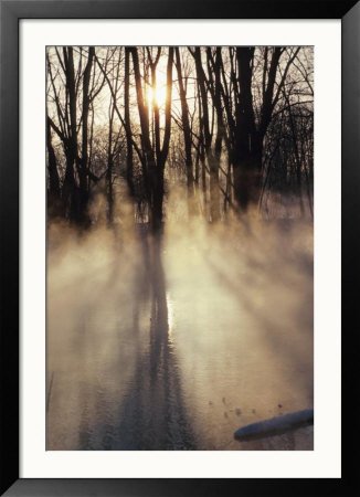 Beautiful Sunlight Streaming Through Mist and Forest Framed Photographic Poster Print, 32x45