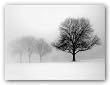Winter Trees I by Ilona Wellman 24"x18" Art Print Poster