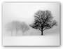 Winter Trees I by Ilona Wellman 24"x18" Art Print Poster