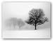 Winter Trees I by Ilona Wellman 24"x18" Art Print Poster