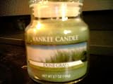 Yankee Candle 3.7oz Dune Grass