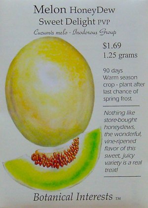 Honey Dew Melon Sweet Delight Seeds 22 Seeds
