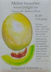 Honey Dew Melon Sweet Delight Seeds 22 Seeds