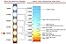 Surpahs Set of 3 Warm Light LED Under Cabinet Lighting Kit